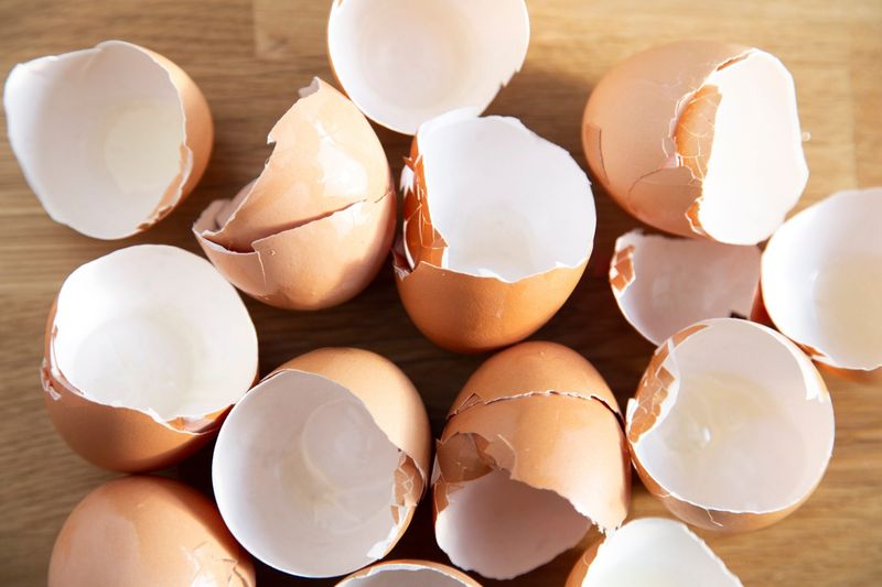 Eggshells