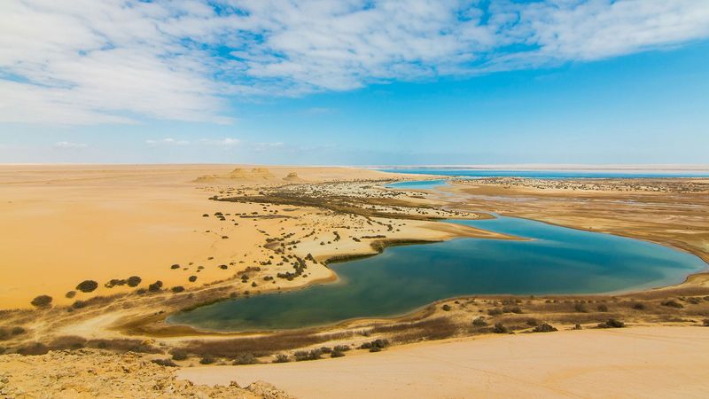 Egyptian Desert Oasis