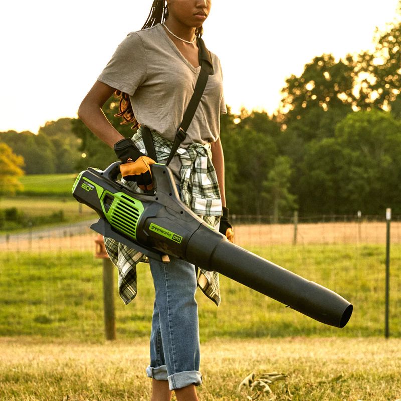 Electric Leaf Blower