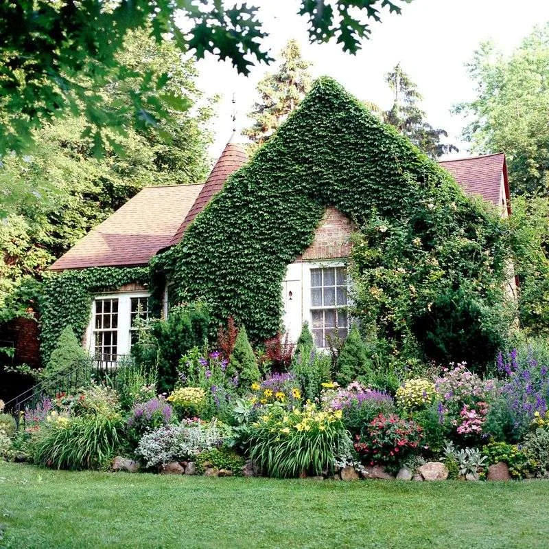 English Cottage Garden