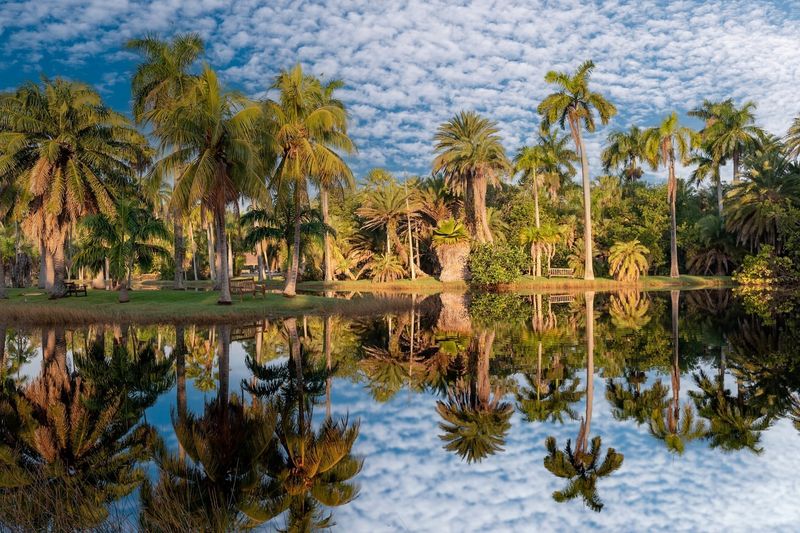 Fairchild Tropical Botanic Garden