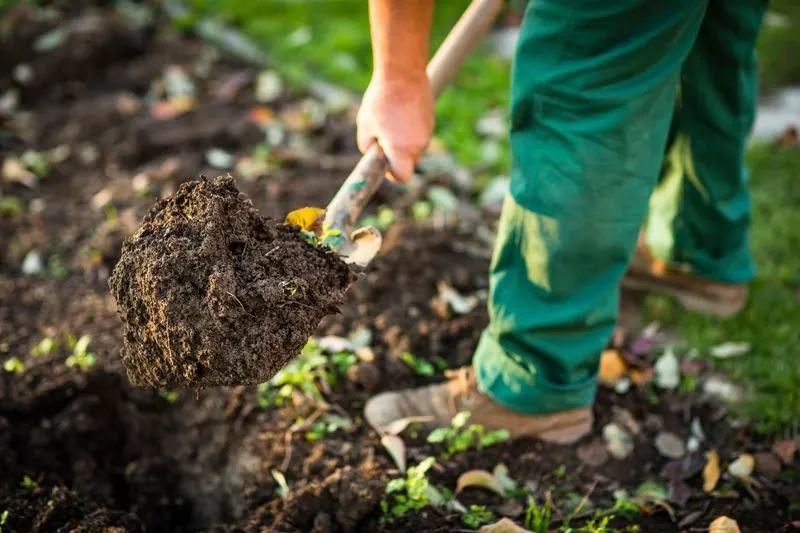 February - Soil Enrichment