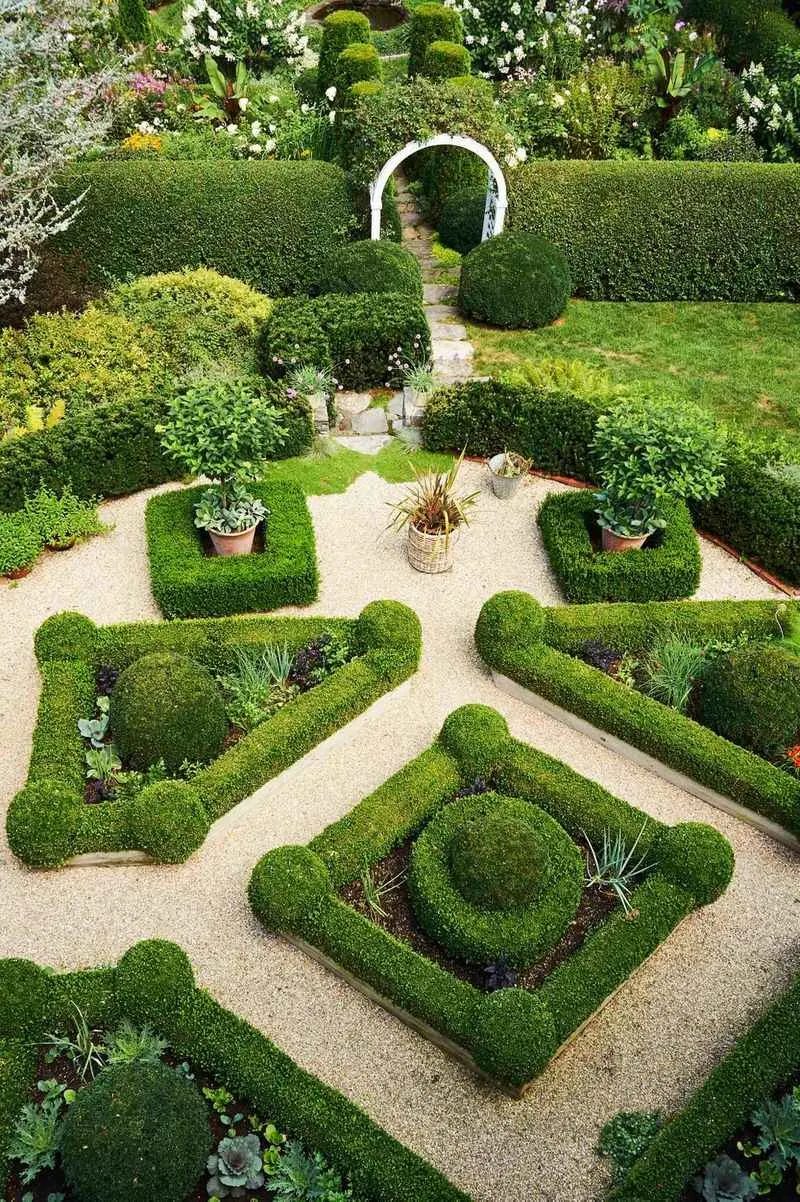 Formal Boxwood Hedges