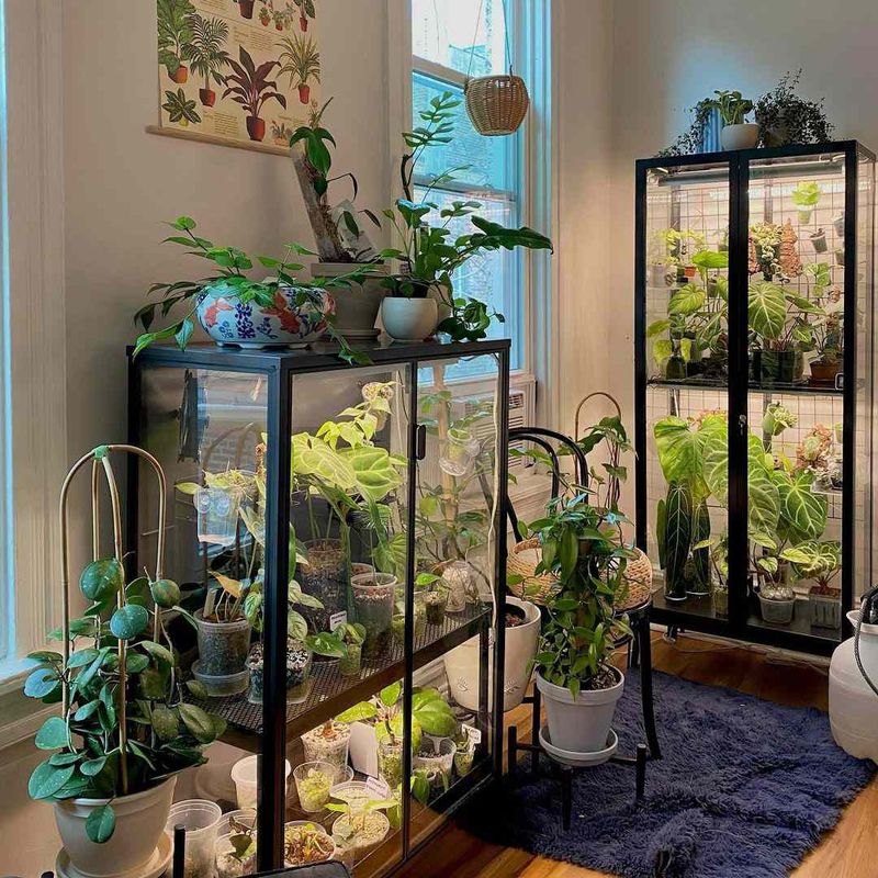 Freestanding Indoor Greenhouses