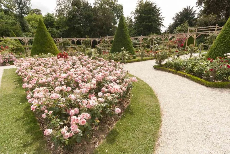 French Formal Garden