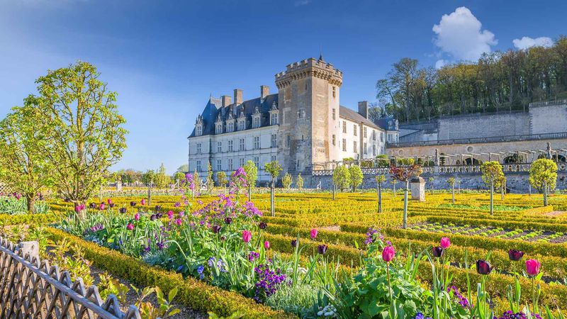 French Formal Garden