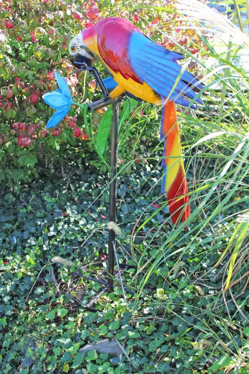 Garden Art and Sculptures