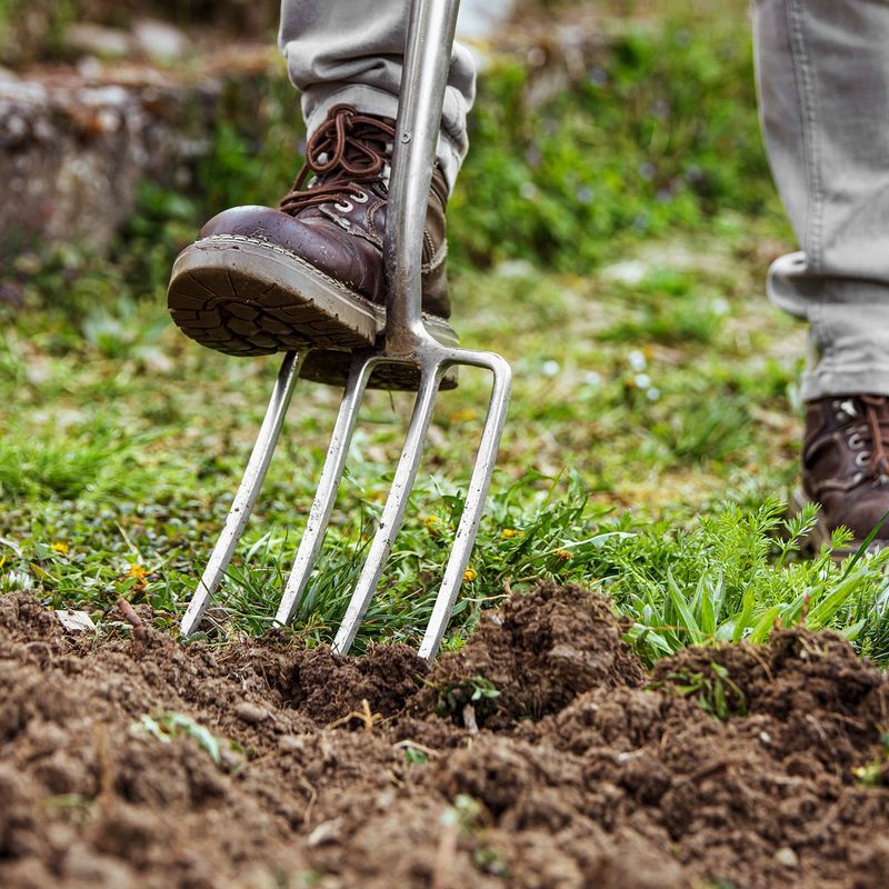 Garden Fork