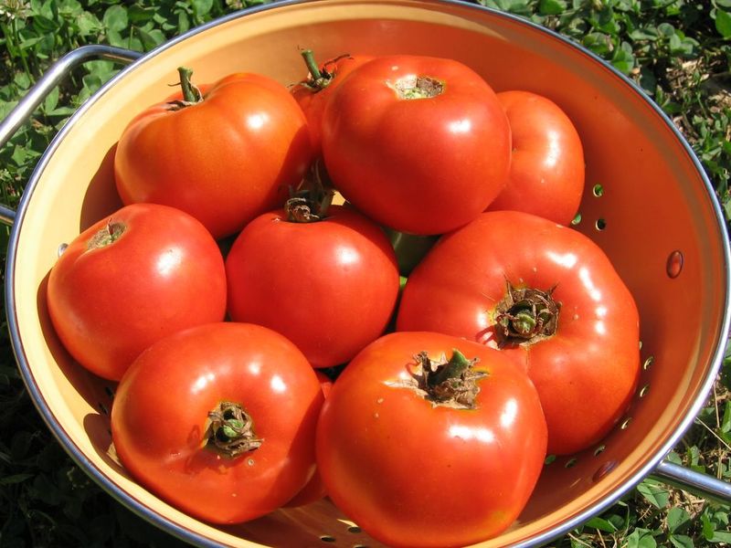 Garden-Fresh Tomatoes