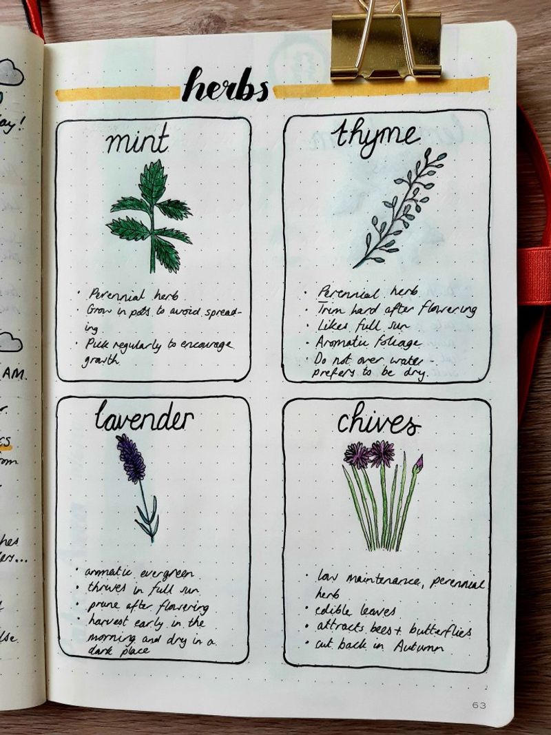 Garden Journaling