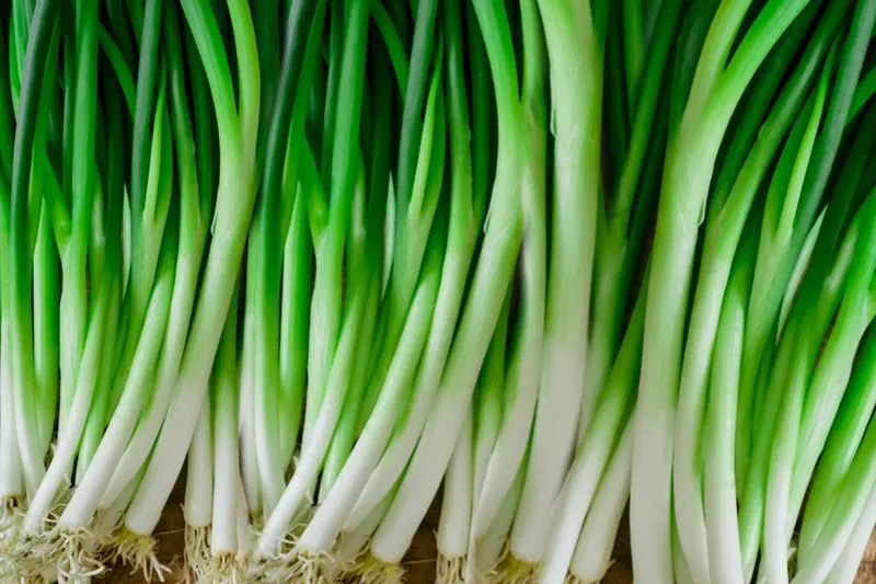 Green Onions