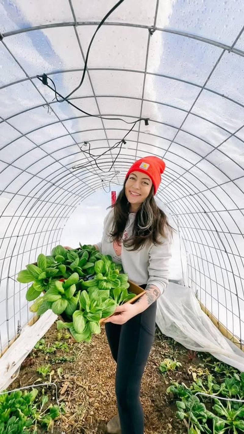 Greenhouse Maintenance