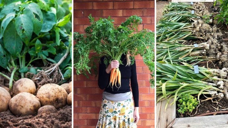 Grow a Whole Garden from Leftovers with These 12 Easy Vegetables