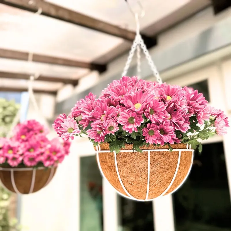 Hanging Baskets