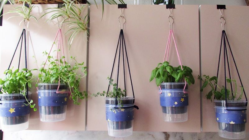 Hanging Planters