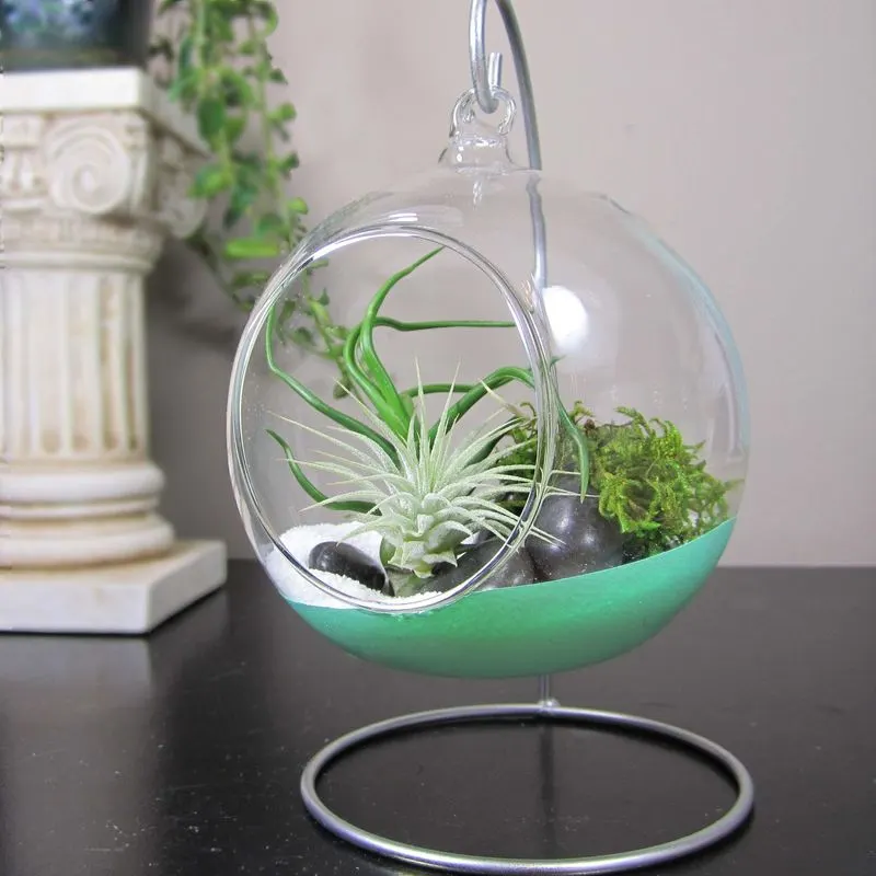 Hanging Terrarium Globes