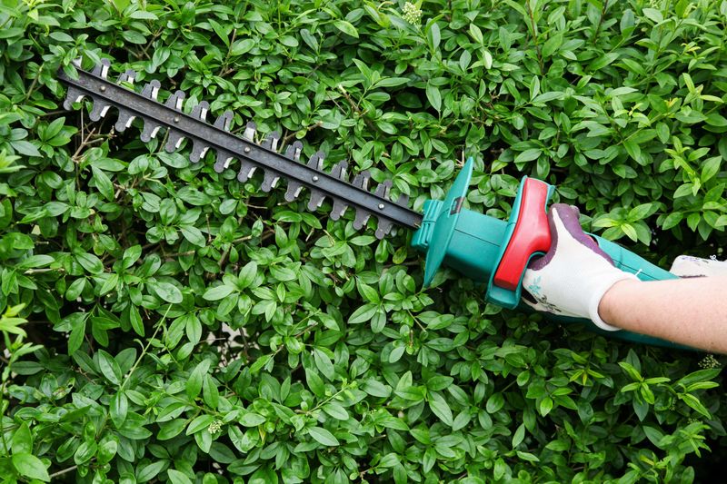 Hedge Trimmer