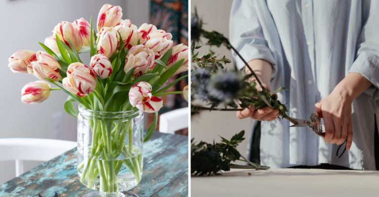 How Florists Keep Flowers Fresh Longer: 8 Pro Tips You Can Use at Home
