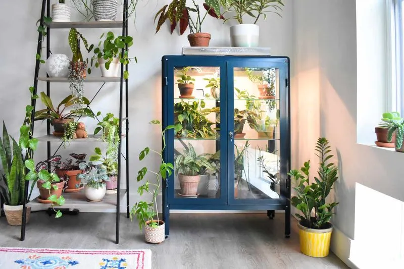 Hydroponic Shelves