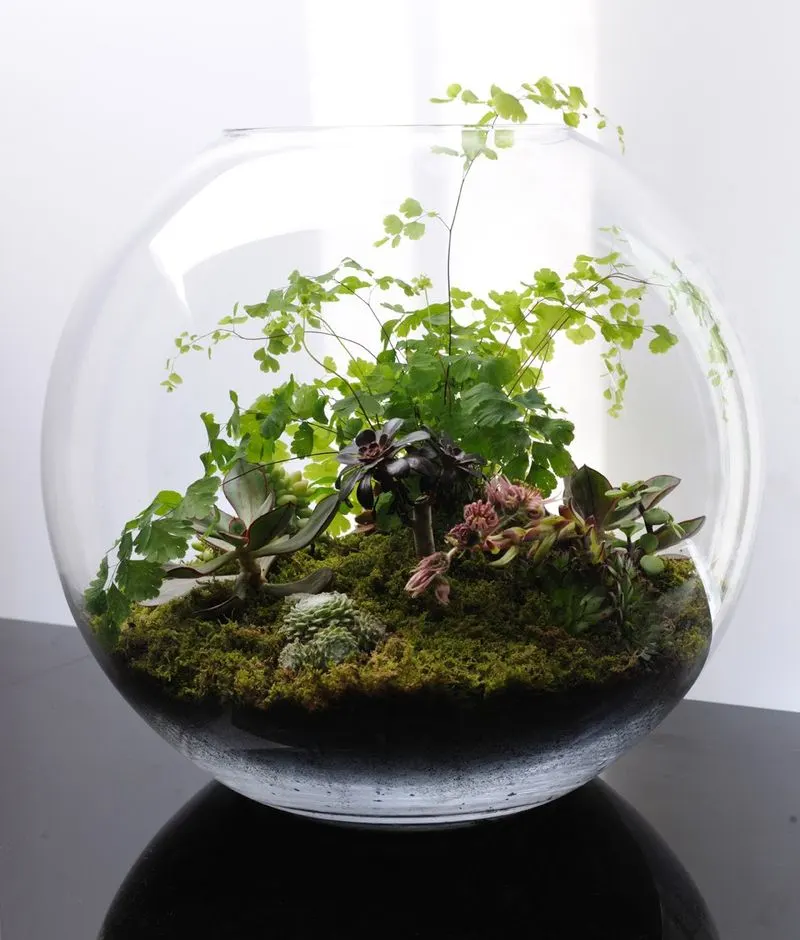 Indoor Garden Terrarium