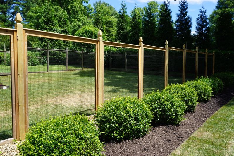 Install a Deer Fence