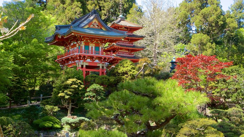 Japanese Tea Garden