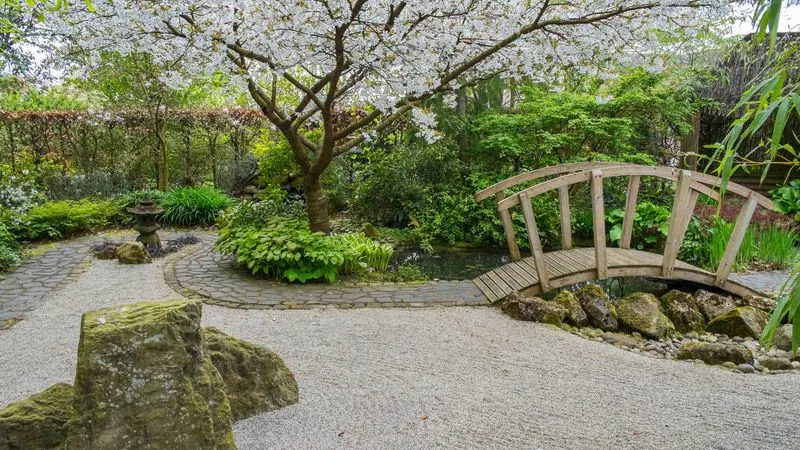 Japanese Zen Garden