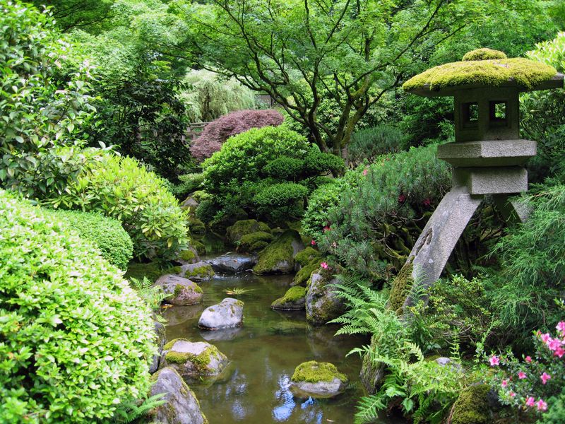 Japanese Zen Garden