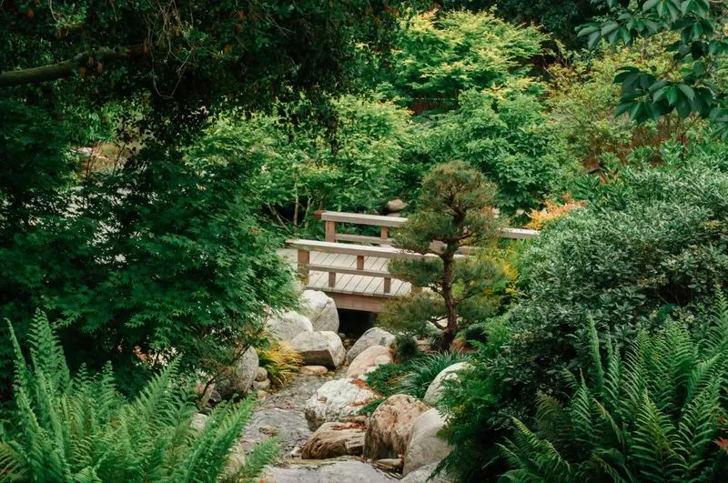 Japanese Zen Gardens