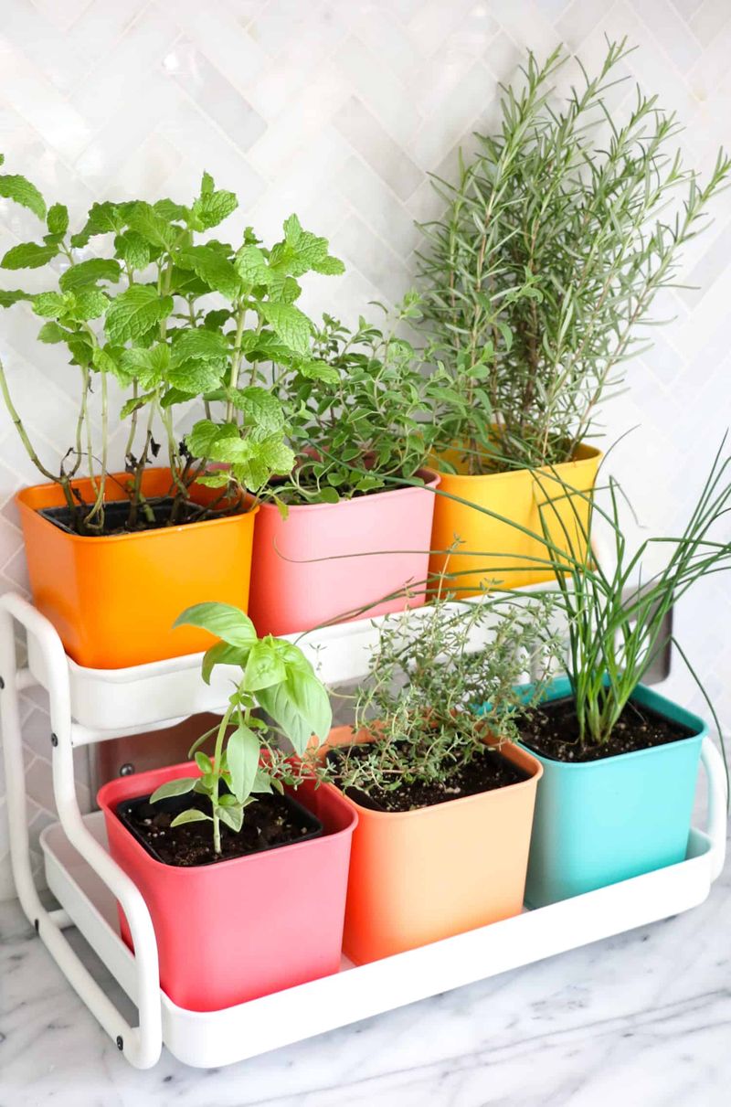 Kitchen Herb Garden