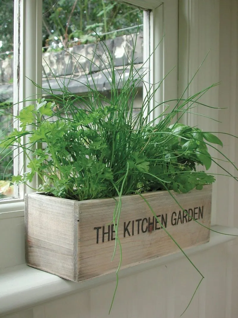 Kitchen Window Boxes