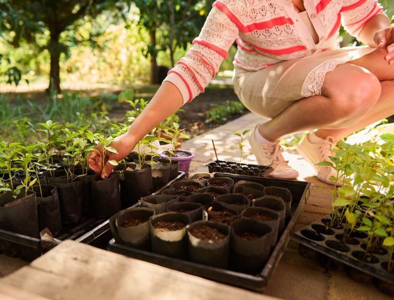 Know the Best Time to Plant