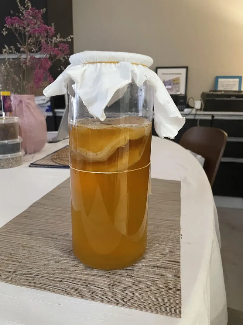 Kombucha