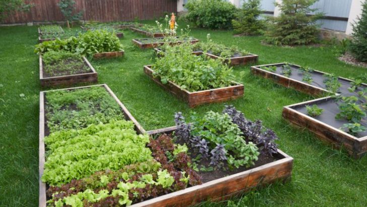 Master Gardening With This Simple Month-by-Month Plan