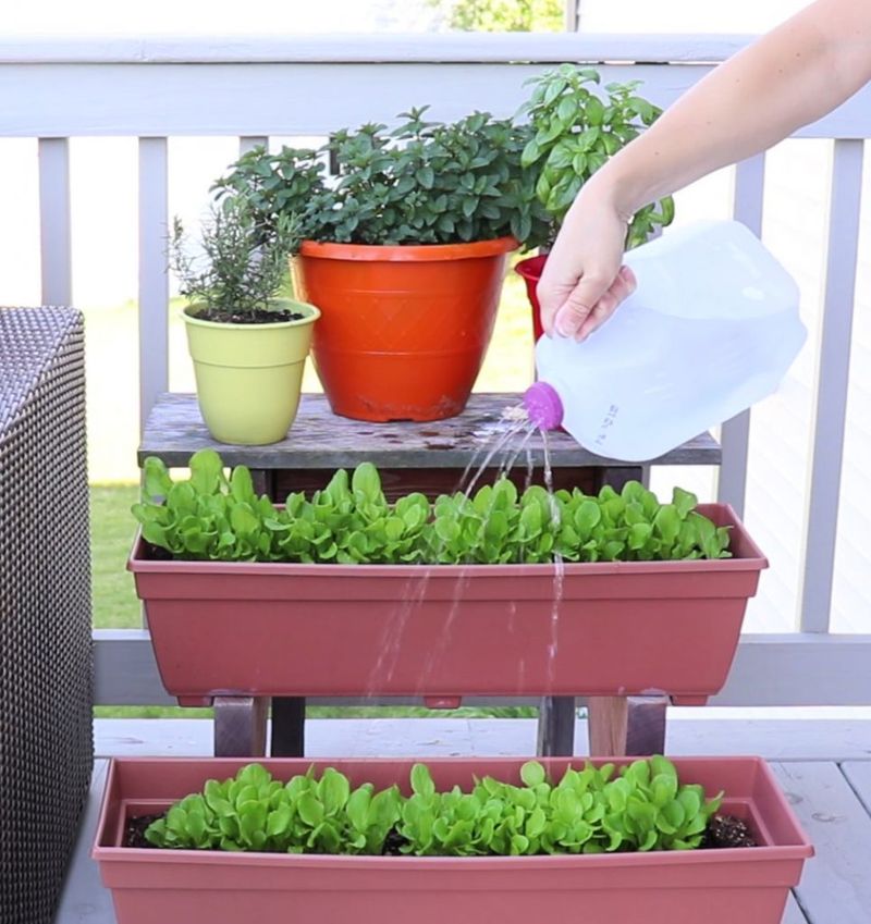 Milk Jug Watering Can