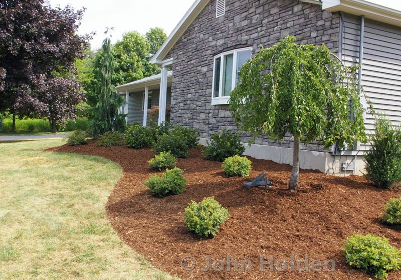 Mulch Beds