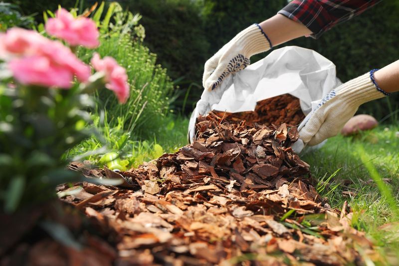 Mulch as a Thermal Blanket