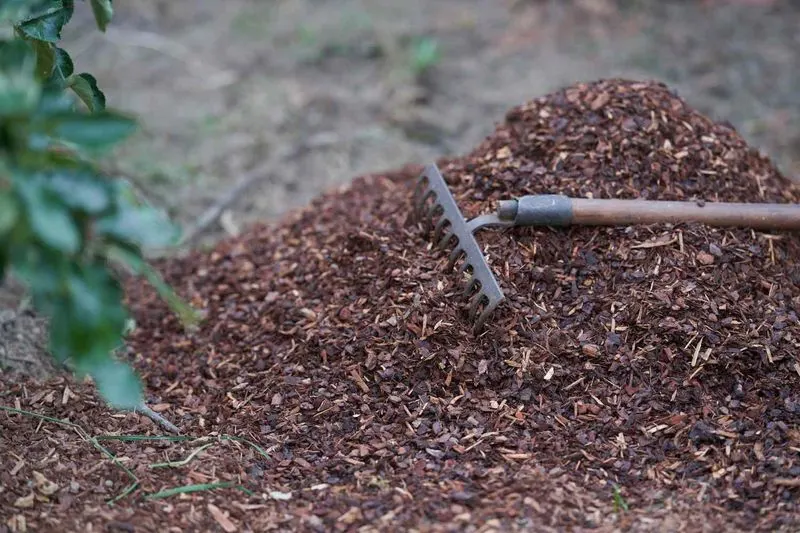 Mulch for Protection