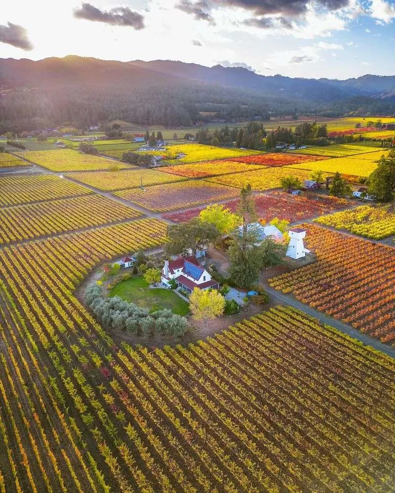 Napa Valley, California