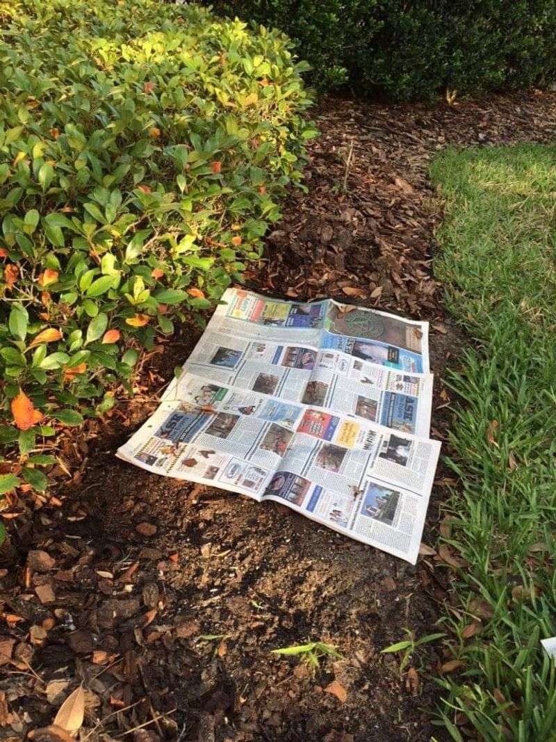 Newspaper Weed Barrier