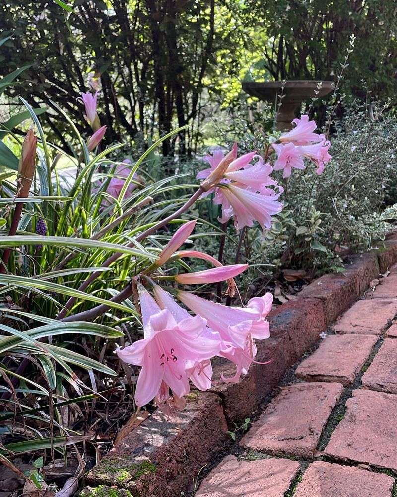 Outdoor Patio Charm