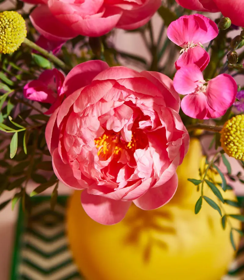 Peonies