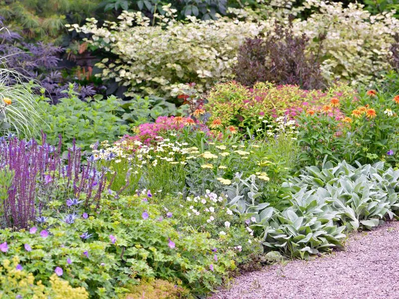 Perennial Borders