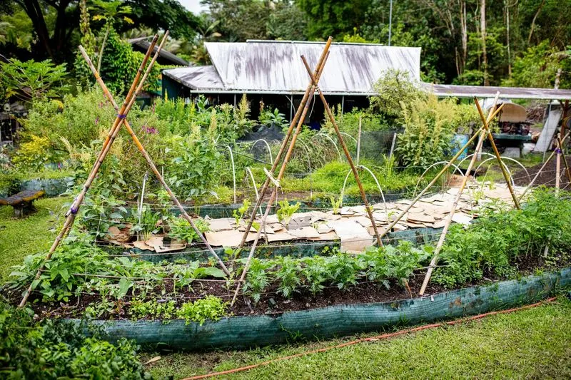 Permaculture Design