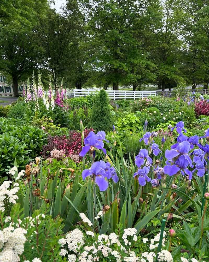 Plan Your Spring Garden