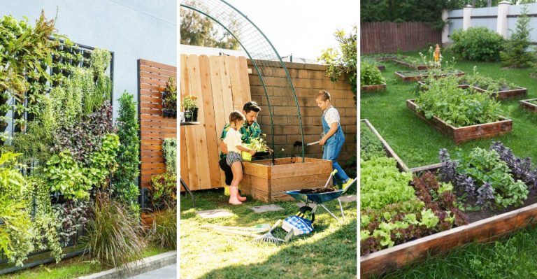 Plan the Perfect 2025 Garden With These 10 Easy Tips