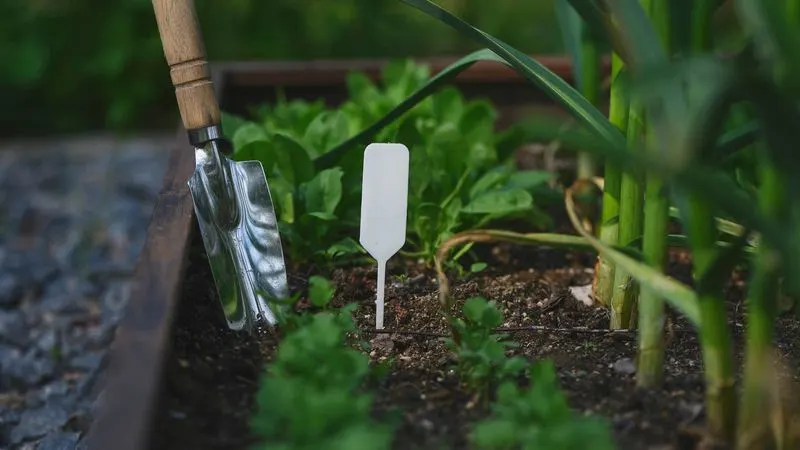 Plant Labels