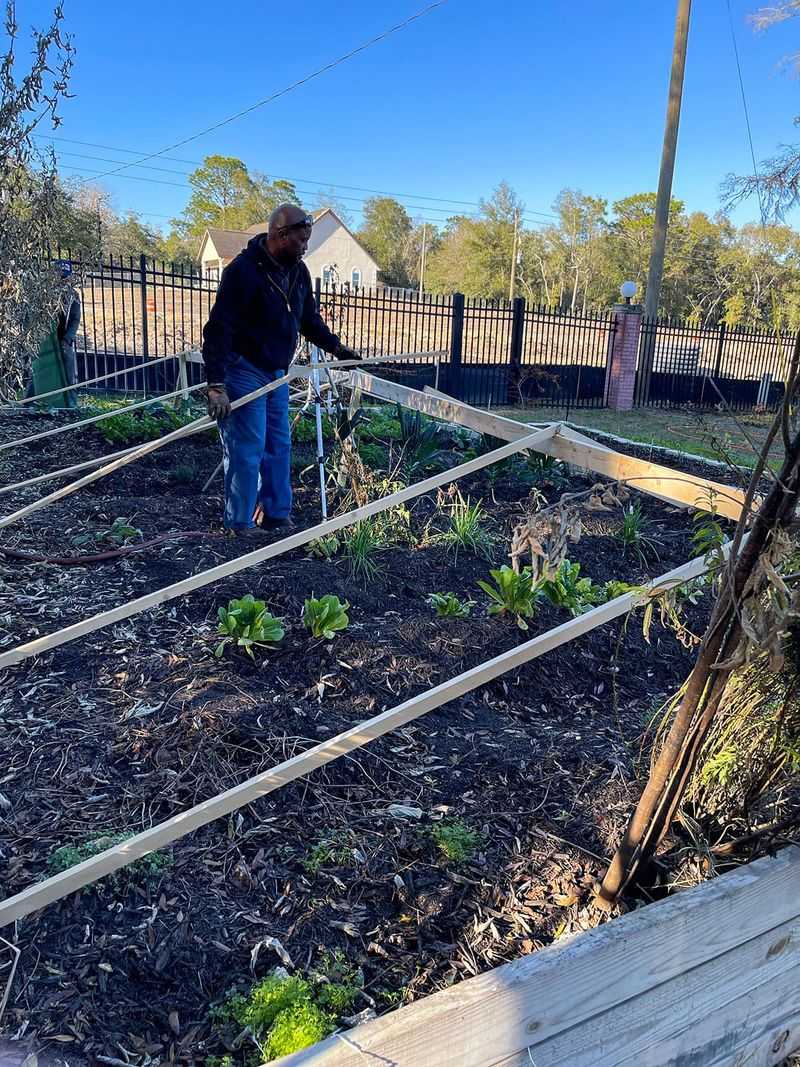 Planting Cover Crops