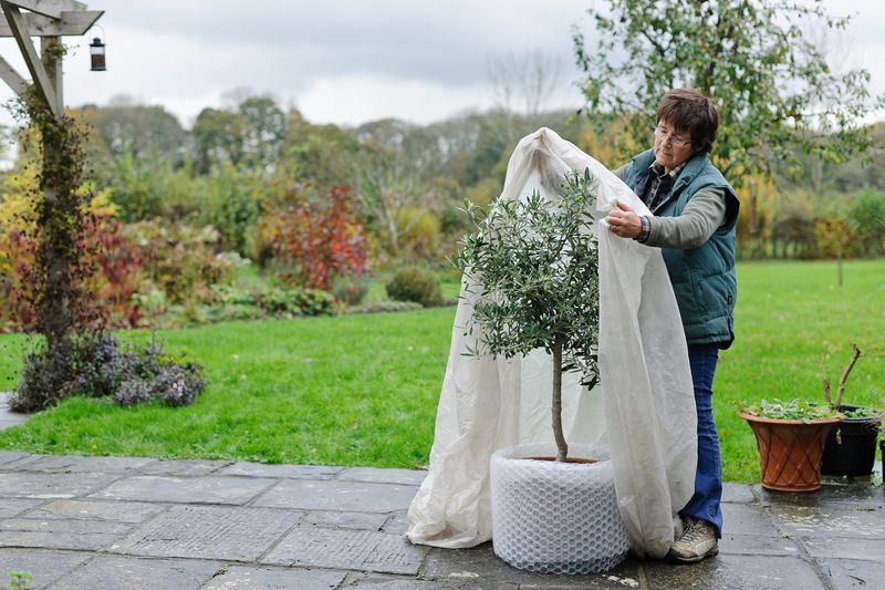 Protect Your Plants From Frost