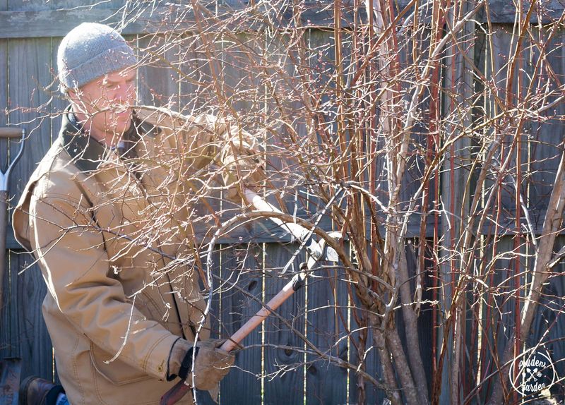 Prune with Precision